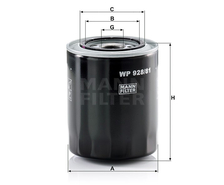MANN WP 928/81